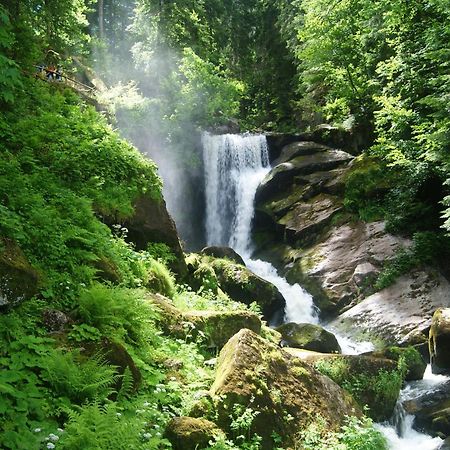 Rita - Atemberaubenden Wasserfaelle Triberg im Schwarzwald Luaran gambar