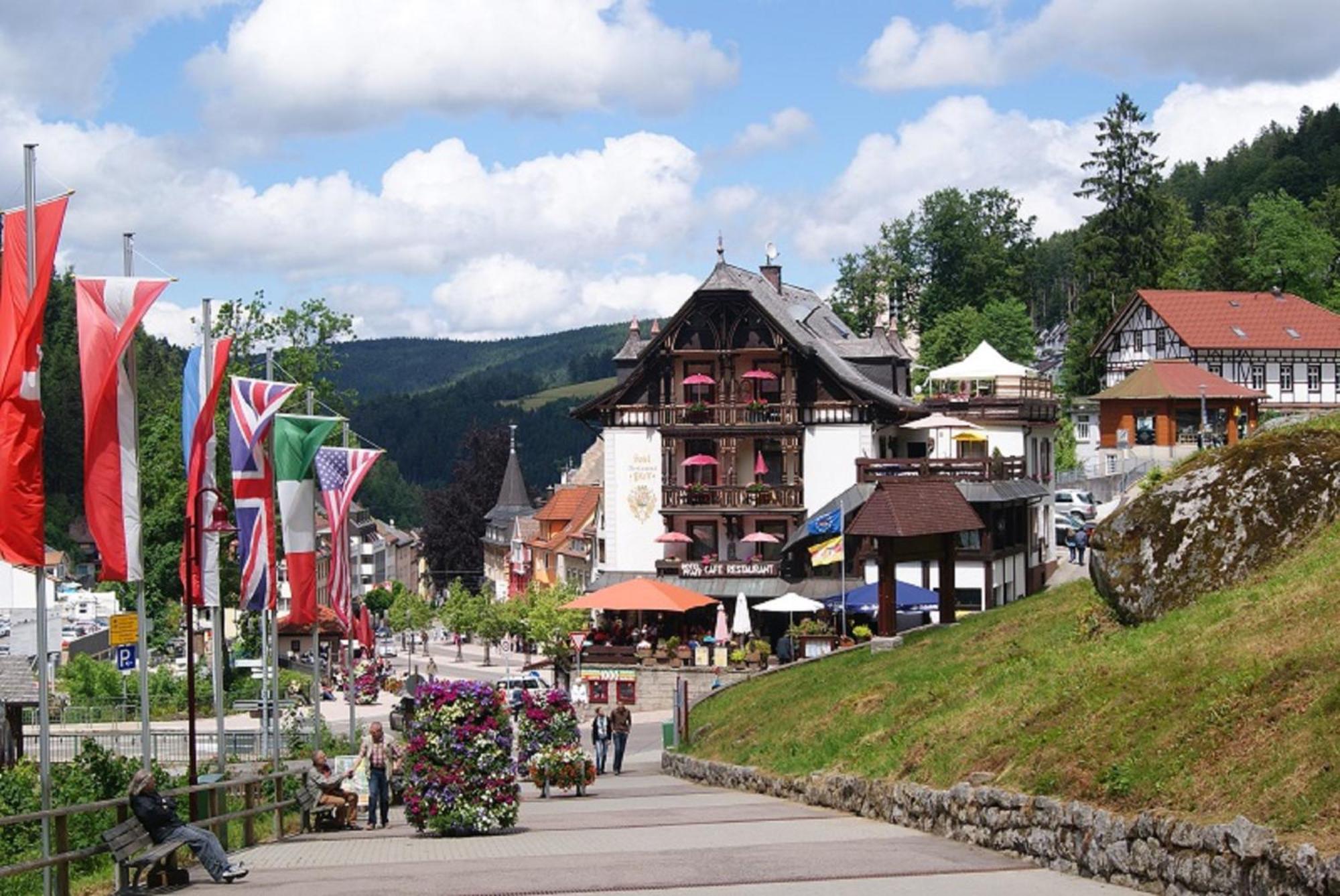 Rita - Atemberaubenden Wasserfaelle Triberg im Schwarzwald Luaran gambar
